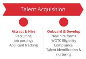 Talent Acquisition