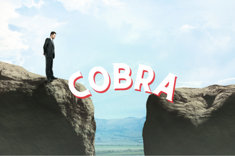 Cobra Basics Webinar