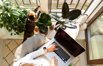 Working at home on patio with laptop and pet cat