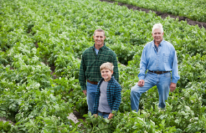 multi-generational family business