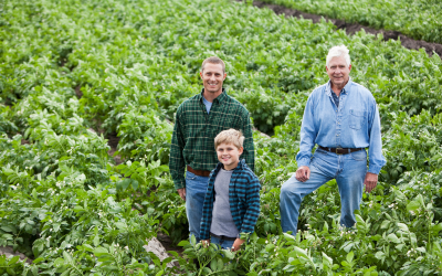 Father, son and Grad father together in a farm's plantation