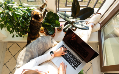 Working at home on patio with laptop and pet cat
