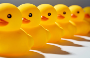 ducks in a row